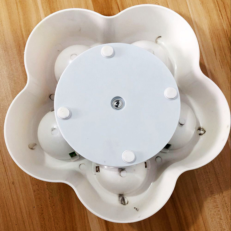 Pet IQ looking for food toys - Image 2